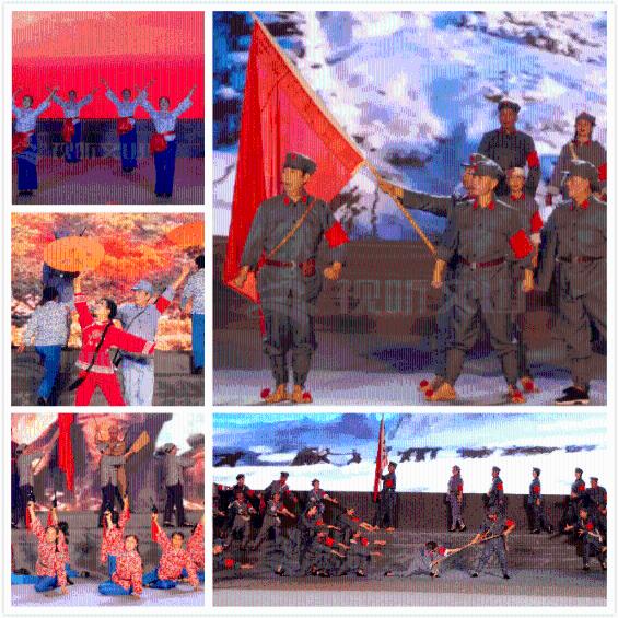 冷知识分享平台——which of the following is not true的翻译是:什么意思?的独家揭秘