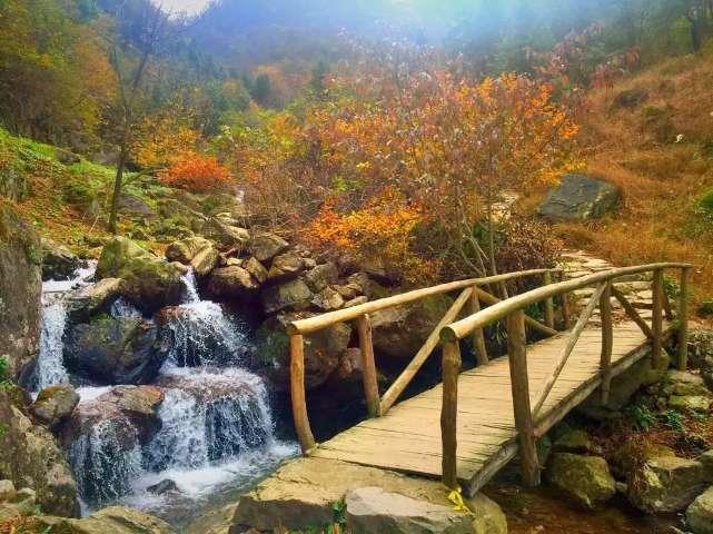 春雨直播app
