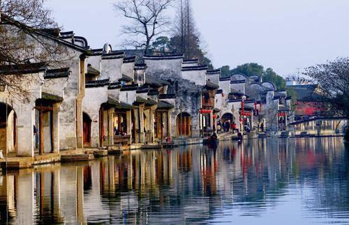 动物帮帮忙保卫家园